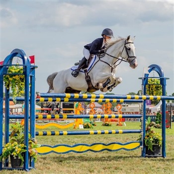 New Forest & Hampshire County Show