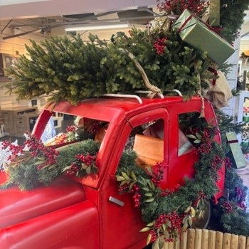 Mystery Garden Centre