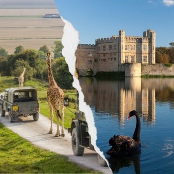 Port Lympne Safari Park Weekend Break