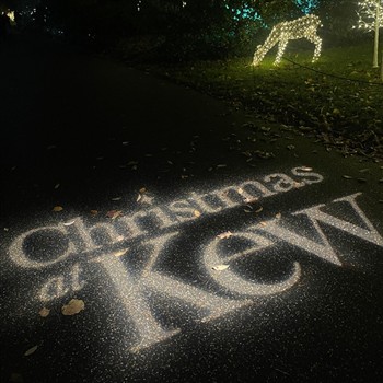 Christmas at Kew