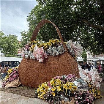 Chelsea in Bloom
